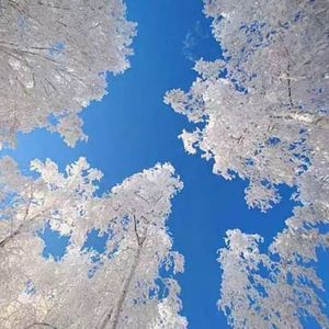 Meet your Posher, Tonia